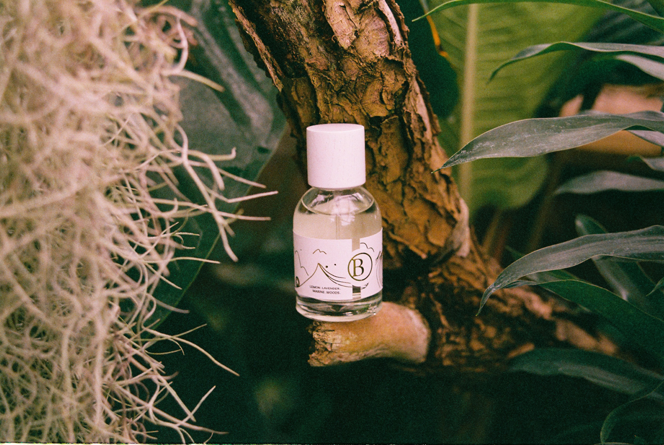 Wind of Change by Bookarazzi EdP